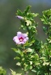 DSC_0541.JPG