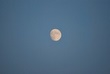 DSC_0755.JPG